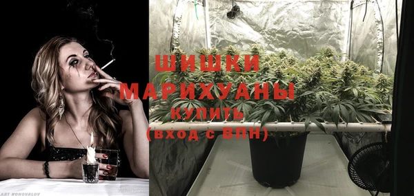 стаф Покачи