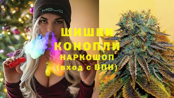 стаф Покровск